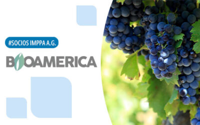 Entrevista a Sergio Varas, Director Ejecutivo Bioamerica