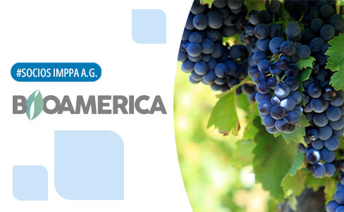 Entrevista a Sergio Varas, Director Ejecutivo Bioamerica