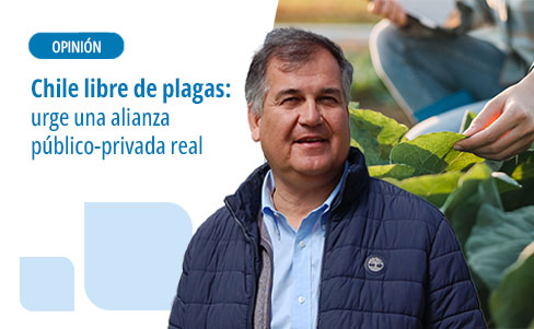 Chile libre de plagas: urge una alianza público-privada real
