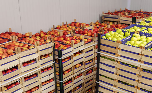 Desafíos del Agro: ¿Qué significa ser una potencia eco-alimentaria?
